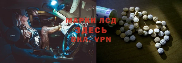 ГАЛЛЮЦИНОГЕННЫЕ ГРИБЫ Михайлов