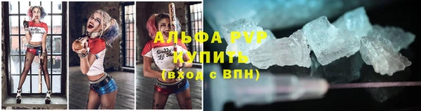 ГАЛЛЮЦИНОГЕННЫЕ ГРИБЫ Михайлов