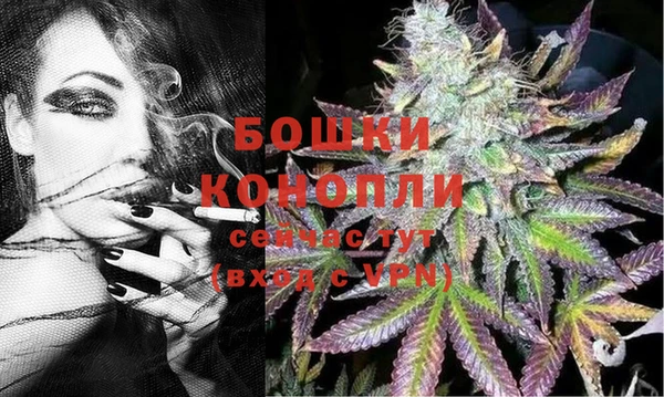 ГАЛЛЮЦИНОГЕННЫЕ ГРИБЫ Михайлов