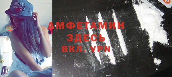 ГАЛЛЮЦИНОГЕННЫЕ ГРИБЫ Михайлов
