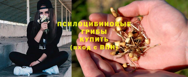 бутират Михайловка
