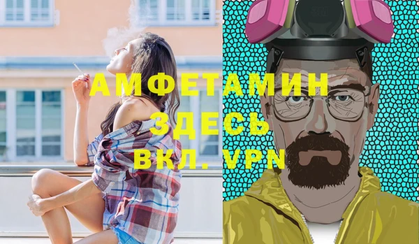 ГАЛЛЮЦИНОГЕННЫЕ ГРИБЫ Михайлов