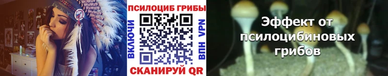 Галлюциногенные грибы MAGIC MUSHROOMS  Купить где  Сунжа 