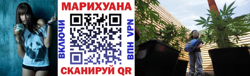 Шишки марихуана OG Kush  Купить  Сунжа 